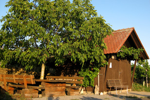 Weinbergshaus